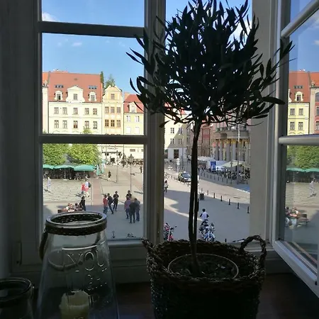 Flower Apart, Plac Solny